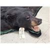 Image 5 : Nice Black Bear Rug Taxidermy