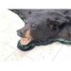 Image 6 : Nice Black Bear Rug Taxidermy
