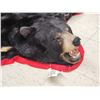 Image 5 : Big Black Bear Rug Taxidermy
