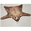 Image 1 : Blonde Phase Black Bear Rug Taxidermy