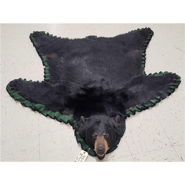 Nice Black Bear Rug Taxidermy