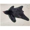 Image 2 : Nice Black Bear Rug Taxidermy