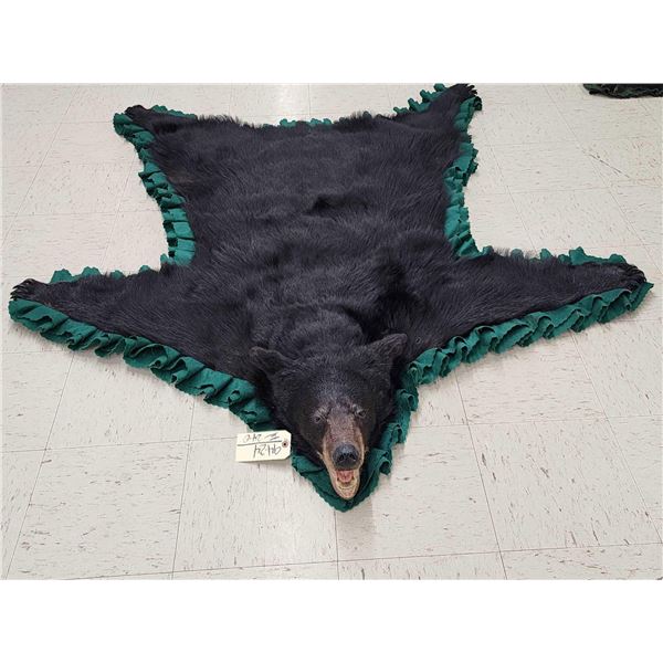 Black Bear Rug Taxidermy