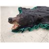 Image 6 : Black Bear Rug Taxidermy