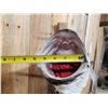 Image 3 : Giant 41" Striped Bass Real Skin Fish Taxidermy