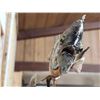 Image 6 : 3 Extra Nice Bluegill Real Skin Fish Taxidermy