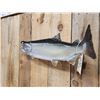 Image 3 : 31" Alaskan Silver Salmon Real Skin Fish Taxidermy