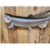 Image 5 : 32" Rainbow Trout Real Skin Fish Taxidermy