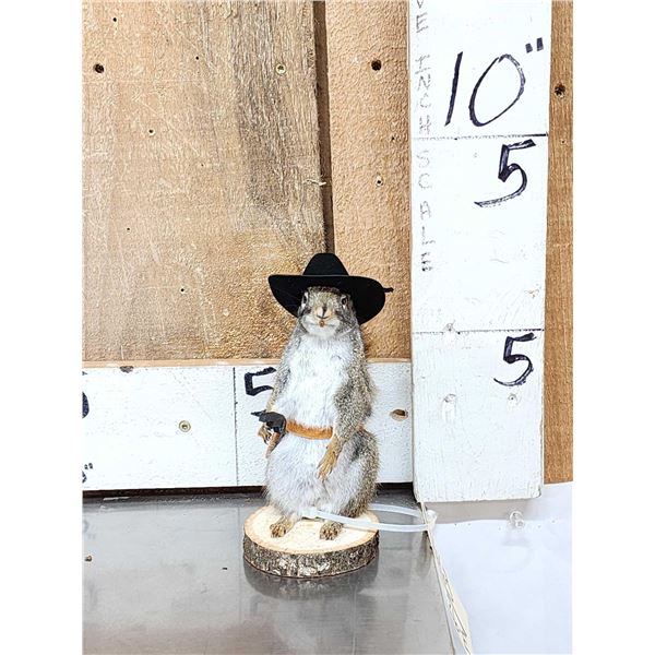 Sheriff Squirrel Full Body Taxidermy Mount