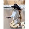 Image 3 : Sheriff Squirrel Full Body Taxidermy Mount