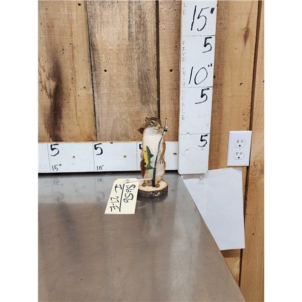 Fishing Squirrel Taxidermy Mount