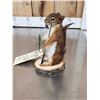 Image 2 : Fishing Squirrel Taxidermy Mount