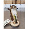 Image 3 : Fishing Squirrel Taxidermy Mount
