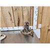Image 2 : 3 Cute Critters Taxidermy Lot