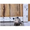 Image 9 : 3 Cute Critters Taxidermy Lot