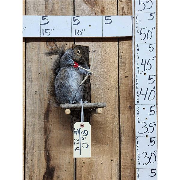 Bow Hunting Squirrel Taxidermy Mount