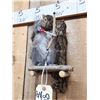 Image 3 : Bow Hunting Squirrel Taxidermy Mount