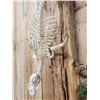 Image 7 : Swimming Otter Articulated Skelton Taxidermy