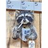 Image 2 : Naughty Raccoon Shoulder Mount Taxidermy