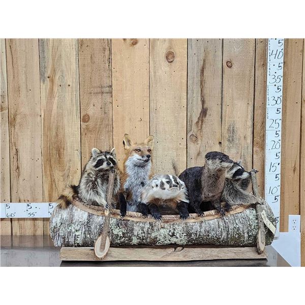 Noah's Ark 5 Critters In A Birch Bark Canoe Taxidermy