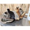Image 9 : Noah's Ark 5 Critters In A Birch Bark Canoe Taxidermy