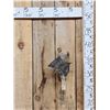 Image 1 : Flying Squirrel Full Body Taxidermy Mount