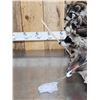 Image 7 : Family Of Raccoons Fishing In A Birch Bark Canoe Taxidermy
