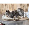 Image 8 : Family Of Raccoons Fishing In A Birch Bark Canoe Taxidermy