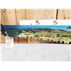 Image 8 : Vintage Hand Painted 75" Crosscut Saw