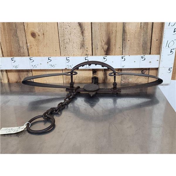 Newhouse Kenwood #15 Bear Trap