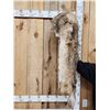 Image 4 : Coyote Fur Mountain Man Hat