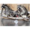 Image 4 : Family Of Raccoons Fishing In A Birch Bark Canoe Taxidermy