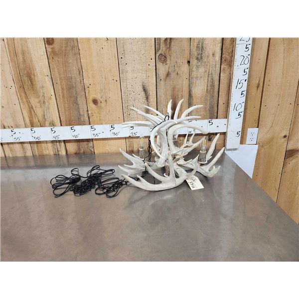 Brand New 4 Light Whitetail Antler Chandelier
