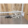 Image 1 : Brand New 4 Light Whitetail Antler Chandelier