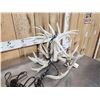 Image 3 : Brand New 4 Light Whitetail Antler Chandelier