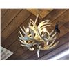 Image 9 : Brand New 4 Light Whitetail Antler Chandelier
