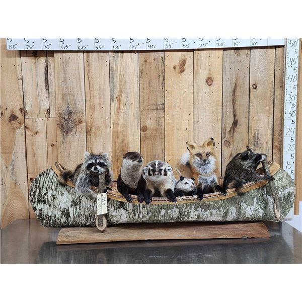 Large Noah's Ark 6 Critters In A Birch Bark Canoe Taxidermy