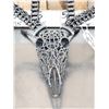 Image 2 : Spectacular Whitetail Skull Metal Sculpture