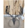 Image 5 : Spectacular Whitetail Skull Metal Sculpture