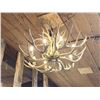 Image 10 : GORGEOUS 8 Light Mule Deer Antler Chandelier