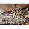 Image 12 : GORGEOUS 8 Light Mule Deer Antler Chandelier