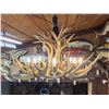 Image 2 : GORGEOUS 8 Light Mule Deer Antler Chandelier