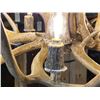 Image 4 : GORGEOUS 8 Light Mule Deer Antler Chandelier