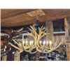 Image 5 : GORGEOUS 8 Light Mule Deer Antler Chandelier