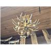 Image 7 : GORGEOUS 8 Light Mule Deer Antler Chandelier
