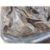Image 15 : Jim Davidson Bronze " Western Indian Successful Hunt "