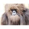 Image 4 : Bigfoot Or Sasquatch Shoulder Mount Taxidermy