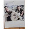 Image 14 : MONSTER Boone & Crockett Recod Book Rocky Mountain Bighorn Sheep Full Body Taxidermy Mount