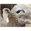 Image 16 : MONSTER Boone & Crockett Recod Book Rocky Mountain Bighorn Sheep Full Body Taxidermy Mount