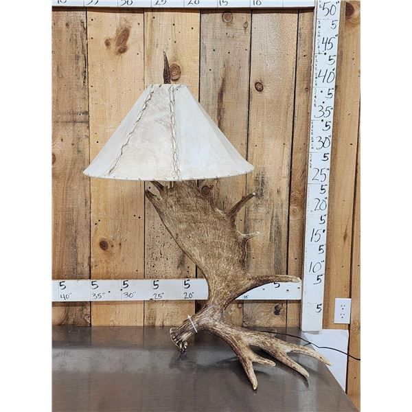 Awesome Self Standing Moose Shed Antler Lamp